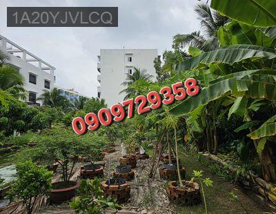 Mặt tiền Lê Tấn Bê - Đất đẹp - 188 tỷ - Phường An Lạc  -  Quận Bình Tân 