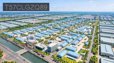 Đang Ngộp Cần Tiền Chỉ 250 Triệu Đất Có SHR Công Chứng Ngay - Xã Đức Hoà Đông  -  Huyện Đức Hòa 