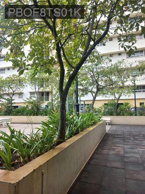 🏡 BÁN CĂN GÓC 3PN 2WC AN PHÚ APARTMENT – QUẬN 6 | SỔ HỒNG RIÊNG - Phường 11  -  Quận 6 