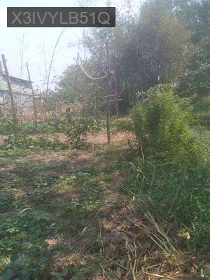 ban dat - Xã Đức Hoà Đông  -  Huyện Đức Hòa 