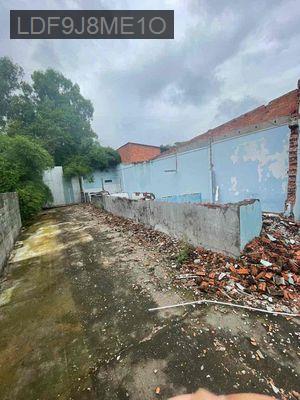 Mình Chính Chủ Cần Bán 181.1 m2 đất full thổ cư - Xã Trung An  -  Huyện Củ Chi 