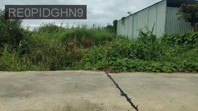 Bán Lô Đất 6m x 26m Full Thổ Cư 100% Đường Nhánh Ra TL827 Bình Nam P.7 - Phường 7  -  Thành phố Tân An 