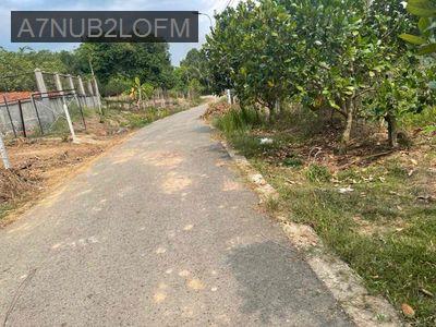 Chính chủ bán đất MT đường nhựa chỉ nhỉnh 2tỷ - Xã Thanh Tuyền  -  Huyện Dầu Tiếng 