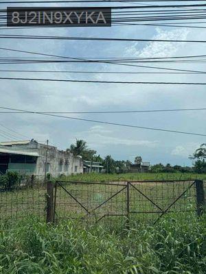 Đất Hậu Nghĩa gần Vinhomes Green city đường tỉnh 825 - Xã Tân Mỹ  -  Huyện Đức Hòa 