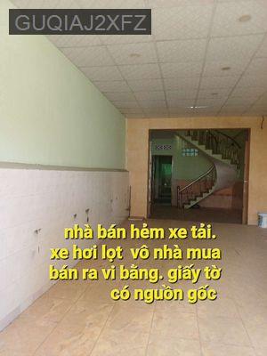 nhà bán  - Xã Bình Hưng  -  Huyện Bình Chánh 