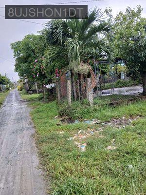 Bán Đất Nhà Ở  - Xã Đức Lập Thượng  -  Huyện Đức Hòa 