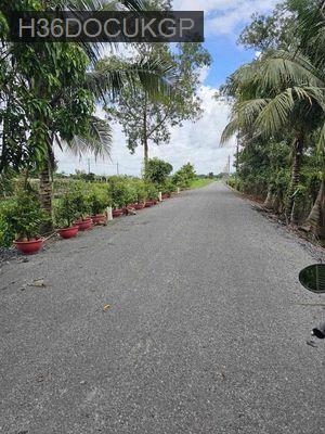 Bán đất 35x158M đường kênh 8, Bình Chánh, TPHCM - Xã Bình Lợi  -  Huyện Bình Chánh 