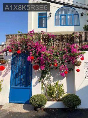 🏡 NHÀ 2 TẦNG PHONG CÁCH CHÂU ÂU – SIÊU ĐẸP TẠI BÌNH THỌ - Phường Bình Thọ  -  Quận Thủ Đức 