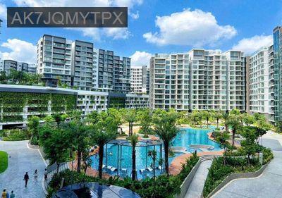 Căn hộ Cao cấp nằm trên MtQlo1A - Xã Bình Chánh  -  Huyện Bình Chánh 