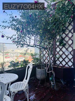 duplex Serenity skyvilla 3pn, 3wc quận 3 cần bán - Phường Võ Thị Sáu  -  Quận 3 