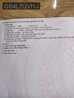 bán lô đất trồng cây hàng năm, sổ đỏ, Cần Đước, giá rẻ - Xã Tân trạch  -  Huyện Cần Đước 