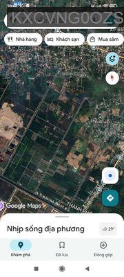 Đất trồng cây lâu năm nhà đang trồng keo lá tràm - Xã Phước Hiệp  -  Huyện Củ Chi 