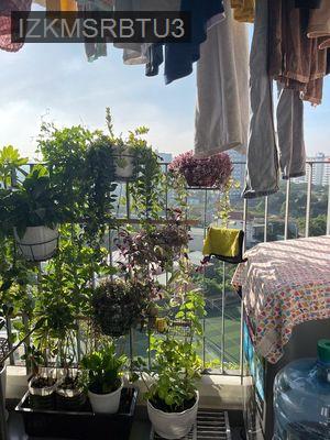 Cần bán căn hộ chung cư Bcons Greenview 52m2 2PN 2WC p. Đông Hòà,Dĩ An - Phường Hiệp Bình Phước  -  Quận Thủ Đức 