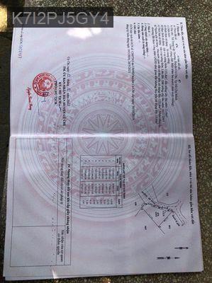 Bán đất - Xã Trung Lập Thượng  -  Huyện Củ Chi 