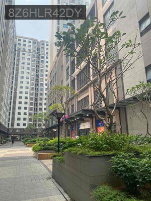 Căn hộ 2 phòng ngủ Green River 65m2 có sổ hồng - Phường 6  -  Quận 8 