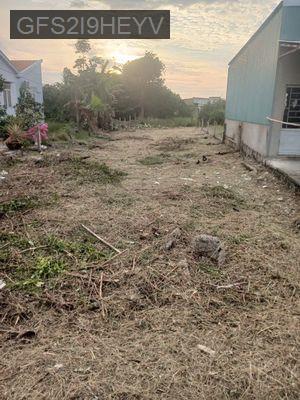 Cần bán đất đường VH ấp Thanh Ba, xã Mỹ Lộc, huyện Cần Giuộc, tỉnh LA - Xã Mỹ Lộc  -  Huyện Cần Giuộc 