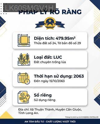 ĐẤT ĐẦU TƯ QL50 – THUẬN THÀNH – CẦN GIUỘC - Xã Long An  -  Huyện Cần Giuộc 