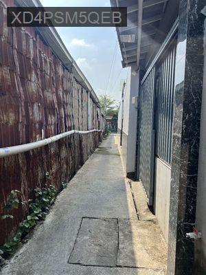 Đất đường cầu xây 2 quận 9 củ có thương lượng - Phường Tân Phú  -  Quận 9 