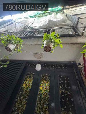 cần bán nhà đuòng 19 tân quy q7 - Phường Tân Hưng  -  Quận 7 