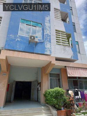 NHÀ CHUNG CƯ - Xã Vĩnh Lộc B  -  Huyện Bình Chánh 