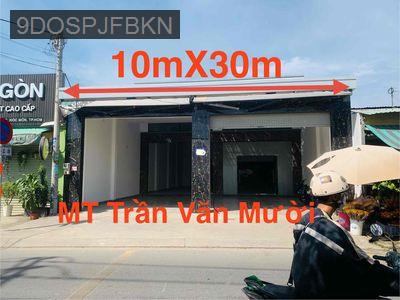 ‼️💯BÁN MẶT TIỀN TRẦN VĂN MƯỜI 10x30m XÂY KIÊN CỐ - Xã Bà Điểm  -  Huyện Hóc Môn 