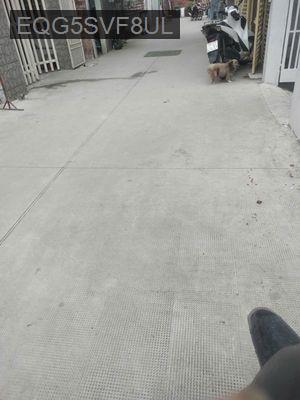 chù gửi gấp lô đất 1000m2vuông vưc dẹp hẻm ô tô shr - Xã Xuân Thới Đông  -  Huyện Hóc Môn 