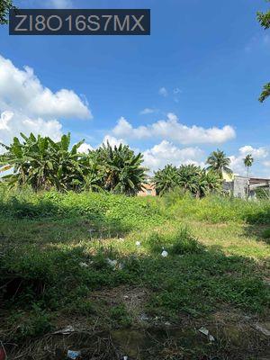 CHÍNH CHỦ CẦN BÁN ĐẤT THỔ CƯ – XÃ LONG HÒA, TỈNH LONG AN 📍 Vị trí: Xã - Xã Long Hoà  -  Huyện Cần Đước 