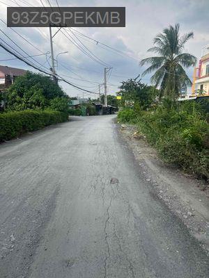 3200m2 đất mặt tiền đường nhựa - Xã Hưng Long  -  Huyện Bình Chánh 