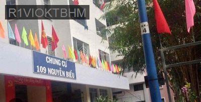 Cần bán căn hộ chung cư 109 Nguyễn Biểu 54m^2 2 pn 2wc - Phường 1  -  Quận 5 