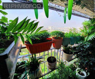 BÁN CĂN 2PN2WC ĐẸP, VIEW ĐẸP, FULL NỘI THẤT CAO CẤP, NGAY TRUNG TÂM - Phường 6  -  Quận 8 