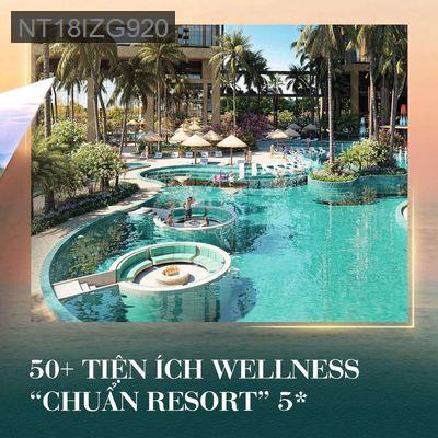 Căn hộ Sunshine Sky City - Phường Tân Phú  -  Quận 7 