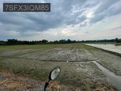 Đất Nông Nghiệp - 4907m2 - Mặt tiền đường Ba Thước - Tân Nhựt - Xã Tân Nhựt  -  Huyện Bình Chánh 