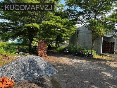 Chính Chủ Đang Nợ Ngân Hàng Cần Bán Nhanh Lô Đất Với Giá Rẻ - Xã Long Hoà  -  Huyện Cần Đước 