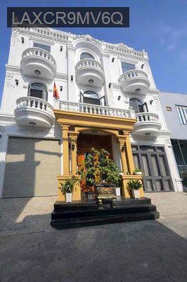 bán biệt thự hẻm 25/ Đường Hồ Văn Long ( ngay chợ Bà Hom) Tân Tạo - Phường Tân Tạo  -  Quận Bình Tân 