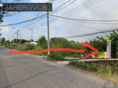 Đất lúa xã Tân Nhựt, HBC - Xã Tân Nhựt  -  Huyện Bình Chánh 