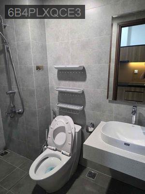 Căn hộ cao cấp sunrise 1pn 1wc kế Phú mỹ hưng - Xã Phước Kiển  -  Huyện Nhà Bè 