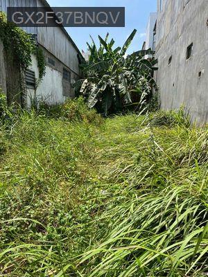 CHÍNH CHỦ SỔ HỒNG CÔNG CHỨNG TRONG NGÀY 126M2 - Xã Long Thới  -  Huyện Nhà Bè 