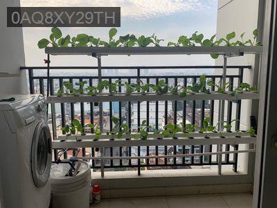 Bán căn hộ chung cư Nguyễn Kim, Quận 10, 50m2, 2.7 tỷ - Phường 7  -  Quận 10 