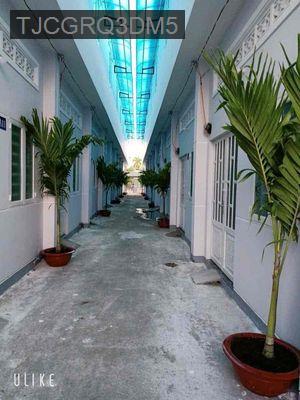 Chị Tiền chuẩn bị sang Mỹ cần bán gấp dãy trọ bao năm gắn bó 1tỷ750tr - Xã Bình Chánh  -  Huyện Bình Chánh 
