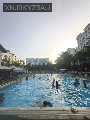 Bán căn 1PN 50m2 Ehome3 Bình Tân từ 1 tỷ 800tr/1 căn , Sổ hồng riêng - Phường An Lạc  -  Quận Bình Tân 