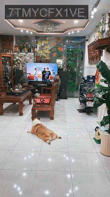 Bán nhà - Phường 14  -  Quận Tân Bình  - 160m² - 27.5tỷ