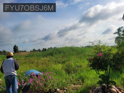 Bán Đất dưỡng già view sông cực đẹp . - Xã Hoà Khánh Nam  -  Huyện Đức Hòa 