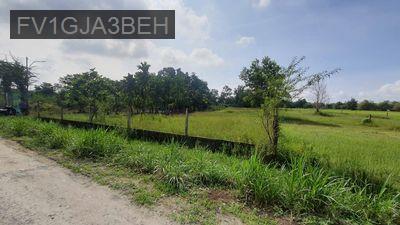 Bán Đất Ấp Hòa Bình 2, Xã Hiệp Hòa, Đức Hòa Long An - Thị trấn Đức Hoà  -  Huyện Đức Hòa 