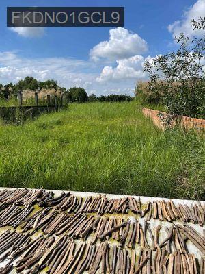 Cần tiền bán nhanh qua chính chủ - Xã Tân Bửu  -  Huyện Bến Lức 