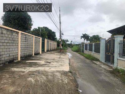 biệt thự nhà vườn ấp Tân Chánh ,tân tập long an - Phường Tân Phú  -  Quận 7 