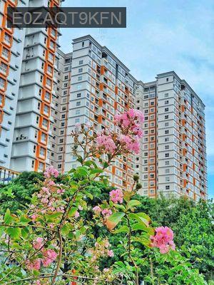 Dragon  Hill 2- 51,5m2 2pn 1wc, full NT mới, SHR, view Đông Nam mát - Xã Phước Kiển  -  Huyện Nhà Bè  Dragon  Hill 2- 51,5m2 2pn 1wc, full NT mới, SHR, view Đông Nam mát - Xã Phước Kiển  -  Huyện Nhà Bè