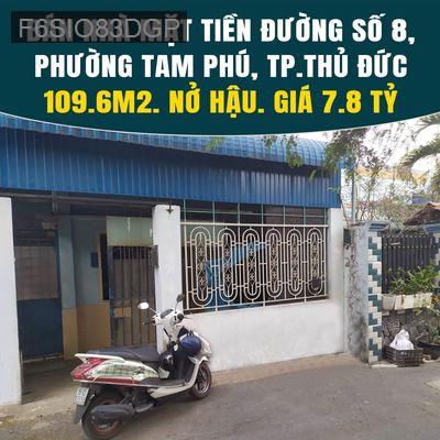 BÁN NHÀ MẶT TIỀN ĐƯỜNG SỐ 8, PHƯỜNG TAM PHÚ, TP. THỦ ĐỨC – NỞ HẬU - Phường Tam Phú  -  Quận Thủ Đức 