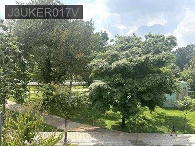 BÁN NHÀ MẶT TIỀN BẠCH ĐẰNG-ĐỐI DIỆN CV GIA ĐỊNH-GẦN SÂN BAY TSN - Phường 3  -  Quận Gò Vấp 