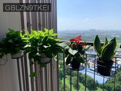 Bán lỗ STUDIO 40m2 1tỷ150(Ko bancol) + 1tỷ250(Có bancol) Opal Skyline - Phường Lái Thiêu  -  Thị xã Thuận An 