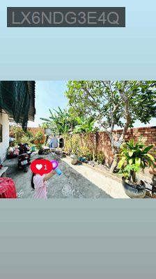 Cần Bán Nhà Full thổ cư 9x17 - Xã Tân Thạnh Đông  -  Huyện Củ Chi 